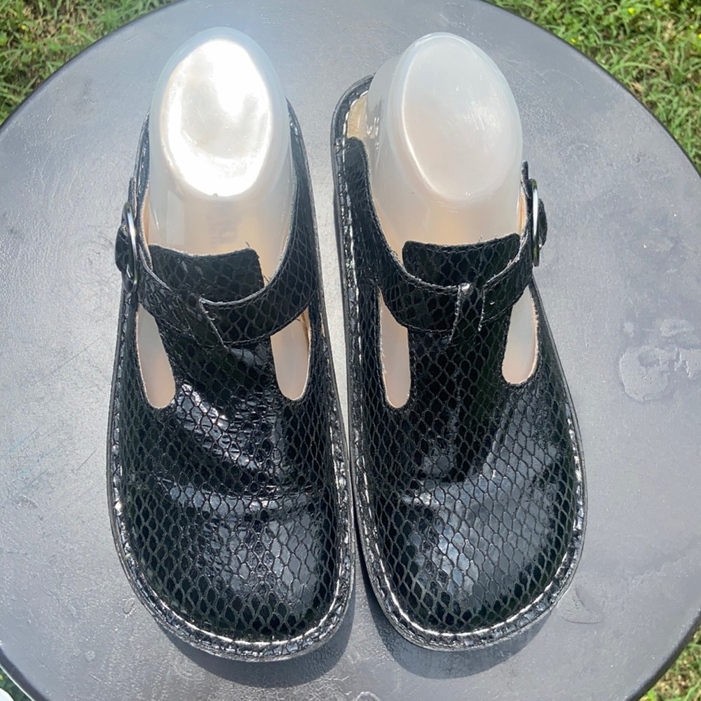 Algeria - Hello Dolly Black mules clogs-37